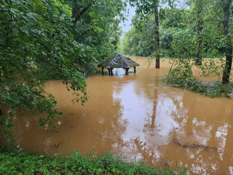 Brown floodwater covering a wooded creek bank and picnic shelter after heavy storm rain